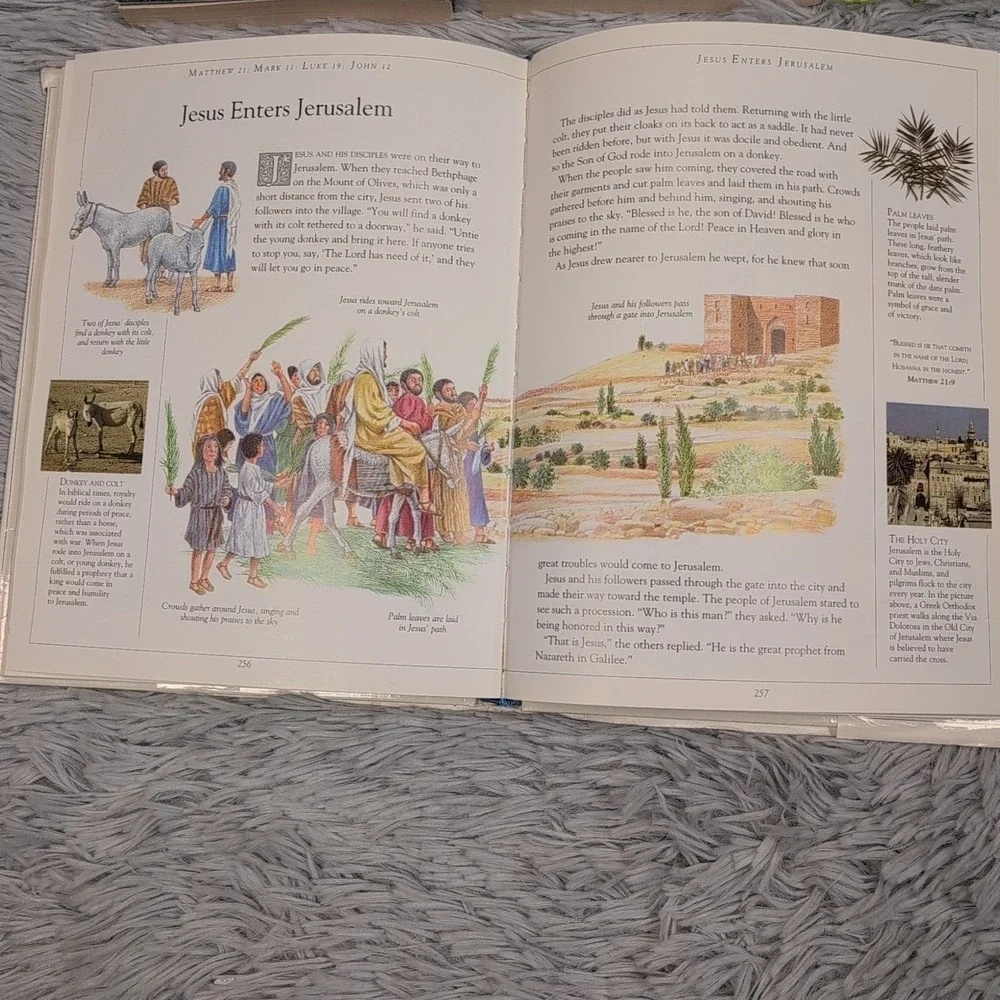 Lot of 5 Childrens' Bible Books Pictures Homeschool Mom Womens‎ Faith Study